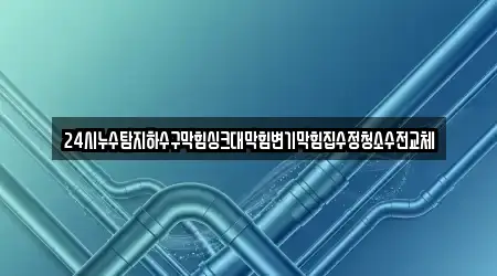 24시누수탐지하수구막힘싱크대막힘변기막힘집수정청소수전교체