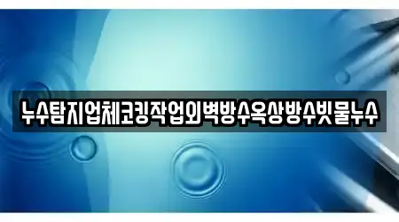 누수탐지업체코킹작업외벽방수옥상방수빗물누수