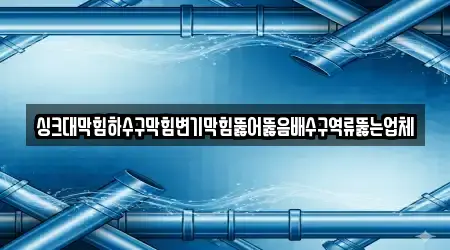 싱크대막힘하수구막힘변기막힘뚫어뚫음배수구역류뚫는업체