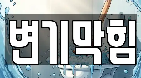 변기막힘
