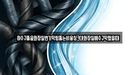 하수구뚫음화장실변기막힘뚫는비용싱크대화장실배수구막혔을때