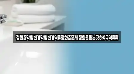 정화조막힘변기막힘변기역류정화조문제정화조뚫는곳하수구역류류