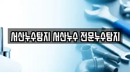 서산누수탐지 서산누수 전문누수탐지