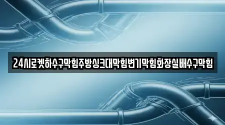 24시로켓하수구막힘주방싱크대막힘변기막힘화장실배수구막힘