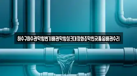 하수구하수관막힘변기배관막힘싱크대정화조막힌곳뚫음배관수리