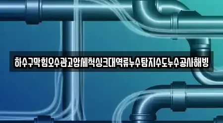 하수구막힘오수관고압세척싱크대역류누수탐지수도누수공사해빙