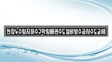 천장누수탐지하수구막힘배관수도설비방수공사수도교체