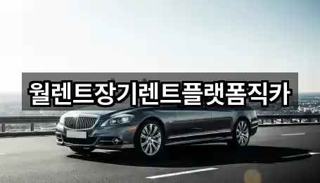 근처에서 찾는 경기 평택 장안동 장기렌트카 1곳