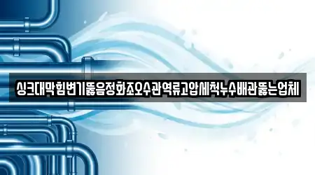 싱크대막힘변기뚫음정화조오수관역류고압세척누수배관뚫는업체
