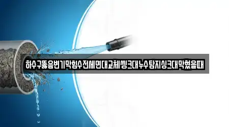하수구뚫음변기막힘수전세면대교체씽크대누수탐지싱크대막혔을때