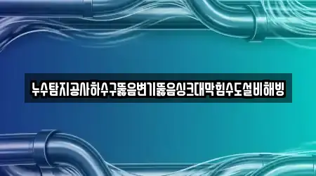누수탐지공사하수구뚫음변기뚫음싱크대막힘수도설비해빙