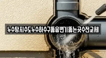 누수탐지수도누수하수구뚫음변기뚫는곳수전교체
