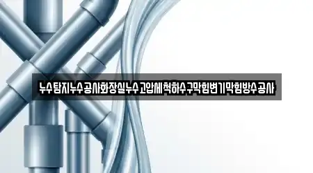 누수탐지누수공사화장실누수고압세척하수구막힘변기막힘방수공사
