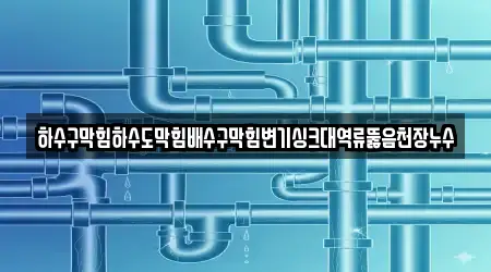 하수구막힘하수도막힘배수구막힘변기싱크대역류뚫음천장누수