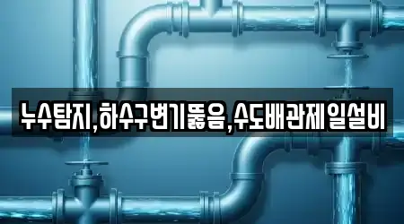 누수탐지,하수구변기뚫음,수도배관제일설비