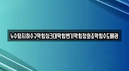 누수탐지하수구막힘싱크대막힘변기막힘정화조막힘수도배관