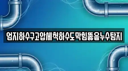엄지하수구고압세척하수도막힘뚫음누수탐지