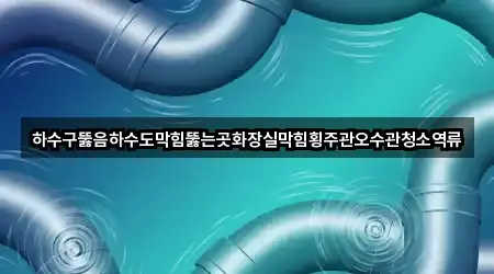 하수구뚫음하수도막힘뚫는곳화장실막힘횡주관오수관청소역류