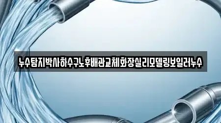 누수탐지박사하수구노후배관교체화장실리모델링보일러누수