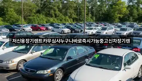 대전 구암동 장기렌트카 가격 비교 1곳