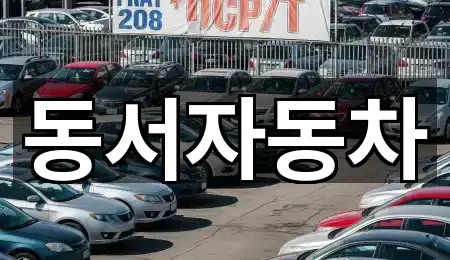 김해 흥동 중고차 문의 많은 5곳