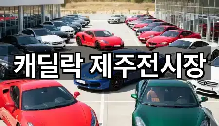 캐딜락 제주전시장