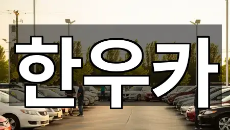 경남 창원 마산회원구 중고차 문의 폭주 5곳