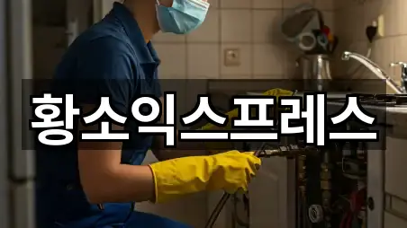 황소익스프레스