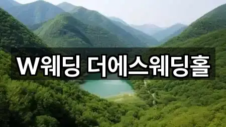 W웨딩 더에스웨딩홀