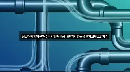 강원 속초 금호동 변기막힘 3곳 도로명·지번