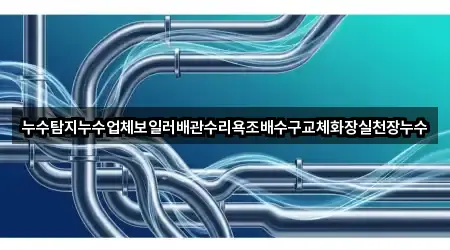 누수탐지누수업체보일러배관수리욕조배수구교체화장실천장누수