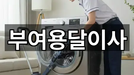 충청남도 부여군 용달이사 어디가 좋을까? 4곳 충청남도 부여군 용달이사 어디가 좋을까? 4곳