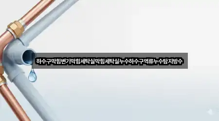 하수구막힘변기막힘세탁실막힘세탁실누수하수구역류누수탐지방수