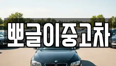 강원특별자치도 삼척시 도경동 장기렌트카,중고차,렌트카,단기렌트카,중고차매입,중고차매매