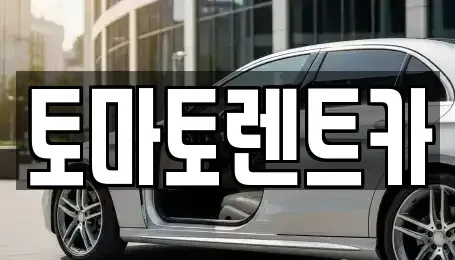 경기 광주시 퇴촌면 렌트카 전문 토마토렌트카
