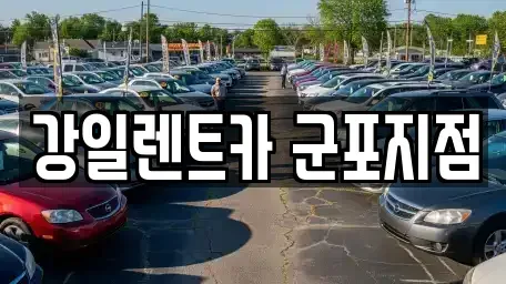 경기 군포시 도마교동 렌트카 전문 강일렌트카 군포지점