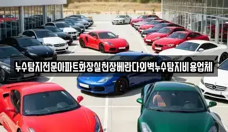 경기 군포시 도마교동 중고차 전문 누수탐지전문아파트화장실천장베란다외벽누수탐지비용업체