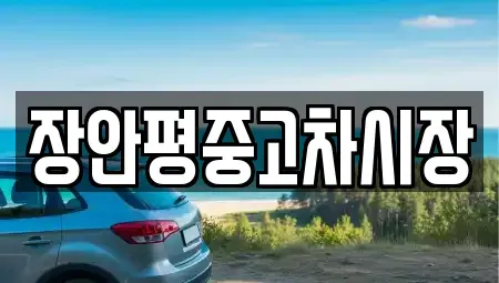 경기 남양주시 와부읍 중고차매매 전문 장안평중고차시장