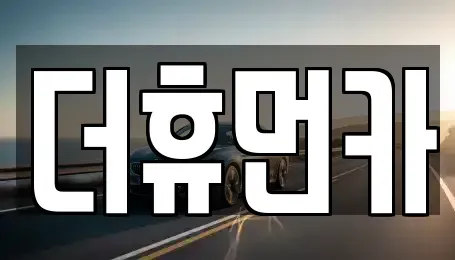 경기 성남시 분당구 서현동 단기렌트카 전문 더휴먼카