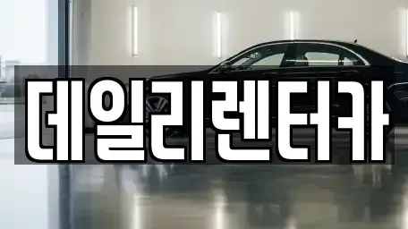 경기 성남시 분당구 서현동 단기렌트카 전문 데일리렌터카