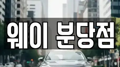 경기 성남시 분당구 서현동 단기렌트카,중고차매입,중고차매매,중고차,렌트카,장기렌트카