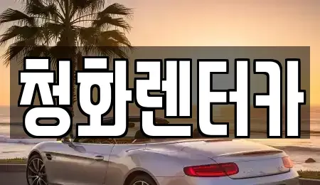 경기 성남시 분당구 서현동 단기렌트카 전문 청화렌터카