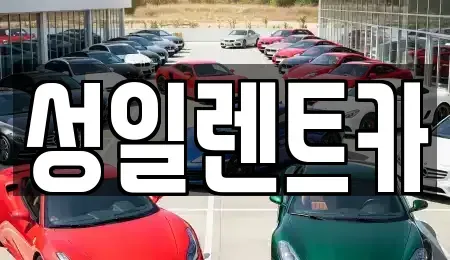경기 성남시 분당구 서현동 렌트카 전문 성일렌트카