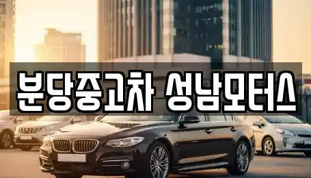 경기 성남시 분당구 서현동 중고차매매 전문 분당중고차 성남모터스