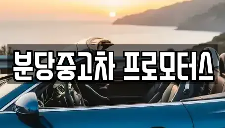 경기 성남시 분당구 서현동 중고차매매 전문 분당중고차 프로모터스