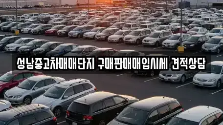 경기 성남시 분당구 서현동 중고차매입 전문 성남중고차매매단지 구매판매매입시세 견적상담