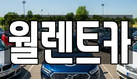 경기 평택시 가재동 렌트카 전문 월렌트카