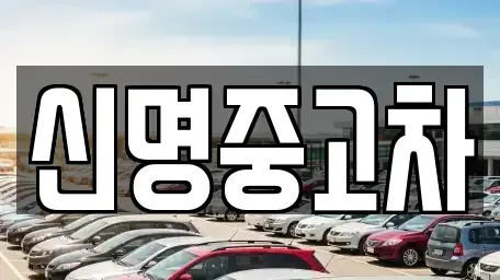 경기도 광명시 중고차매매,단기렌트카,중고차매입,장기렌트카,중고차,렌트카