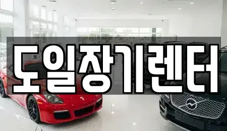 경기도 광주시 능평동 장기렌트카 전문 도일장기렌터
