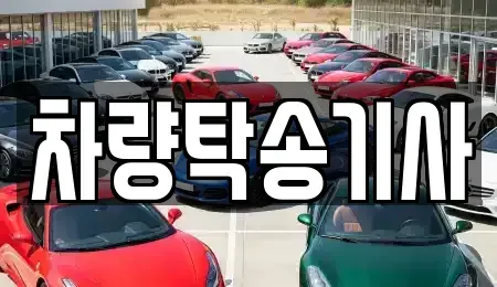 경기도 광주시 능평동 중고차 전문 차량탁송기사